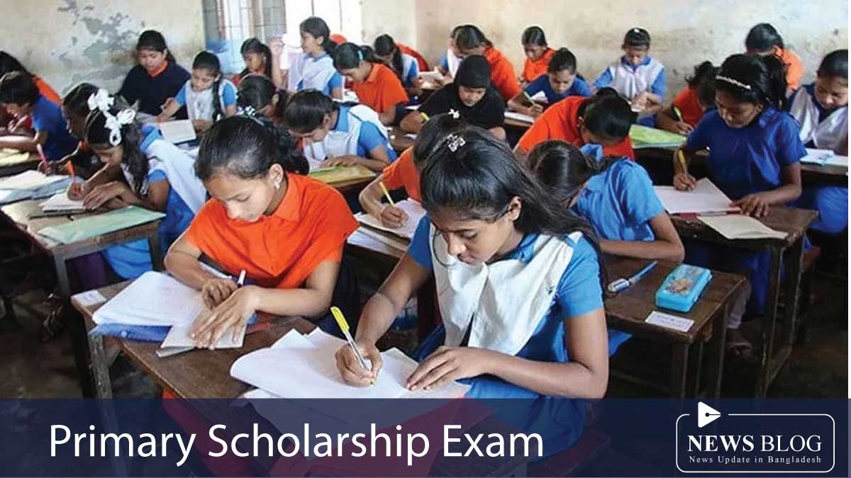 Primary Scholarship Exam Feature Image